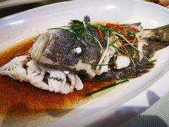 -鹭岛新泉客家菜·海鲜·融合菜(莲前店)