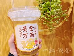 -一杯潮茶·专注潮汕茶饮(朝阳庄店)