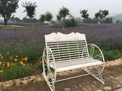 iphone_upload_pic-密云玫瑰情园