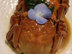 -天福苑(崇宁路店)