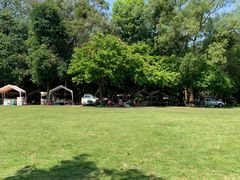 -南宁良凤江国家森林公园