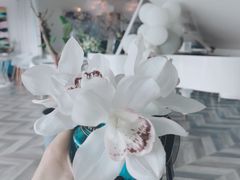 -浮梦·高空下午茶&水晶DIY