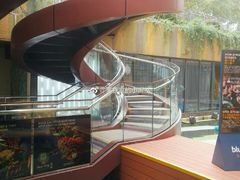 -bluefrog蓝蛙(水游城店)