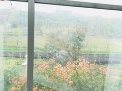 -东南大学(九龙湖校区)