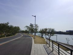 -羊山湖公园
