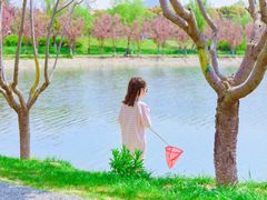 -羊山湖公园