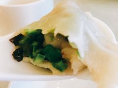 -陶然饺子城(奥体中路店)