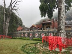 -灵光寺