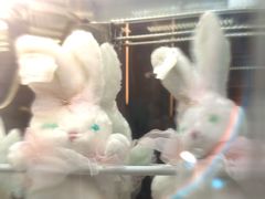 -朵云书院(滴水湖店)