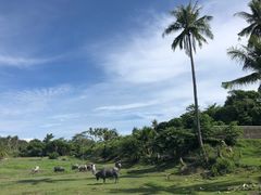 -班拉雅潜水度假村