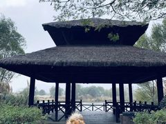 -长广溪湿地公园