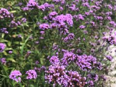 -南通洲际绿博园