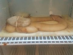 android_upload_pic-珍宝轩海鲜火锅(碧湖大厦店)