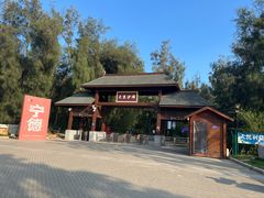 -大京沙滩
