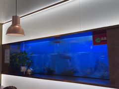 -老板恋上鱼(印象城店)