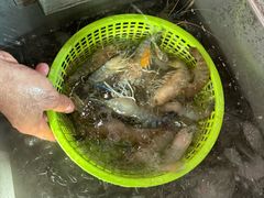-芭提雅Amporn Seafood自助餐厅
