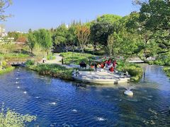 -上海植物园-4号门售票处