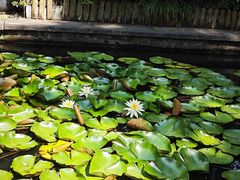 -杭州张苍水先生祠