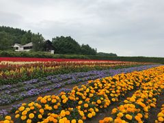 -富田农场