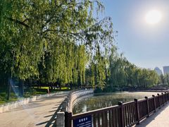 -莲花池公园