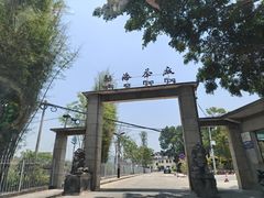 -大益茶庭(勐海会员中心店)