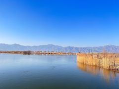 -野鸭湖国家湿地公园