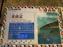 -zoonana室内动物园(东方福来德店)