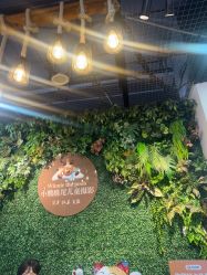 -小熊维尼高端儿童摄影(南山信和店)