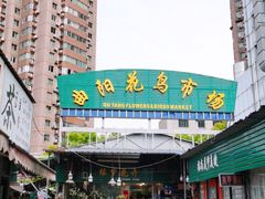 -曲阳花鸟市场(曲阳路店)