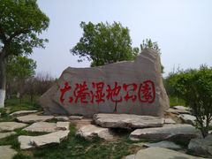 -大港湿地公园