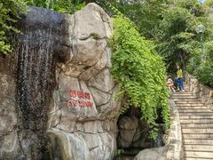 -九龙公园