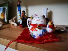 -猫咪博物馆(顶澳仔猫街店)