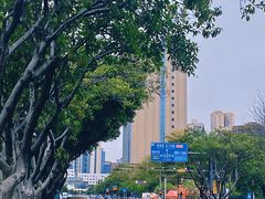 -长安公园