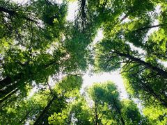 -山王坪喀斯特国家生态公园