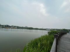 -上海长兴岛郊野公园