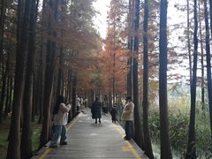 -云龙湖旅游景区