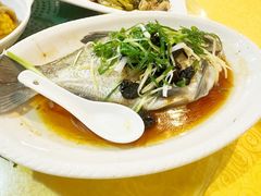 -烧鹅妹饭店