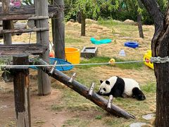 -西霞口神雕山野生动物世界