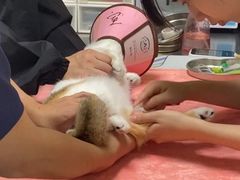 -谐和益家动物医院·免疫绝育·血液透析·宠保定点医院(高新伊藤分院)