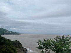 -渔寮风景区