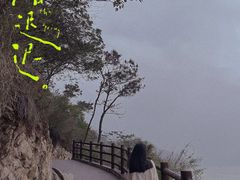 -羚羊峡古栈道森林公园