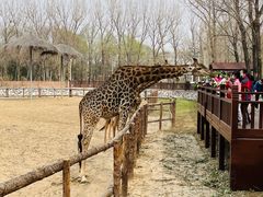 -北京野生动物园