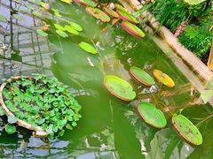 -国家植物园南园