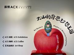 -辰熙ACX星海艺术中心