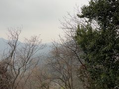 -灵顺寺