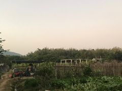 -丰依竹食·老牌竹筒饭