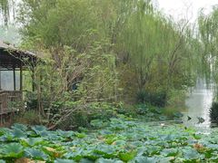 -溱湖国家湿地公园