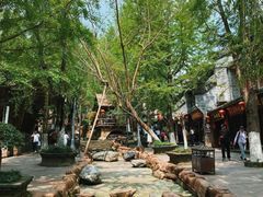 -黄龙溪古镇
