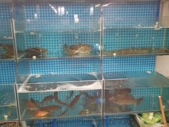 水产区-西山人家·二十年老字号农家菜(旺山店)