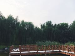 -丰台科技园生态主题公园
